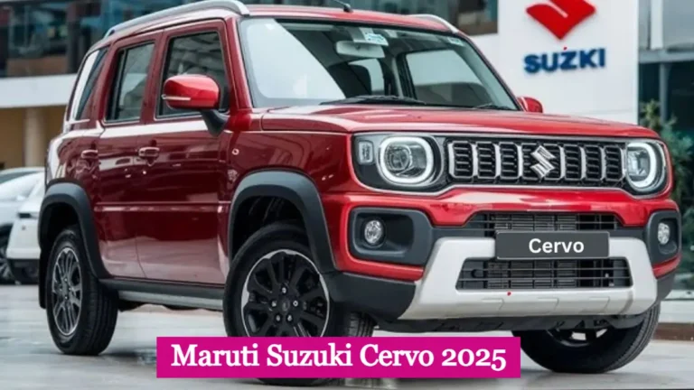 Maruti Suzuki Cervo 2025: सस्ती, दमदार और 26 kmpl माइलेज के साथ जानें शोरूम कीमत